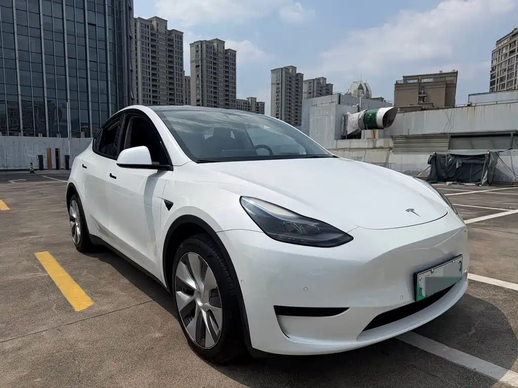 Tesla Model Y — фото 3