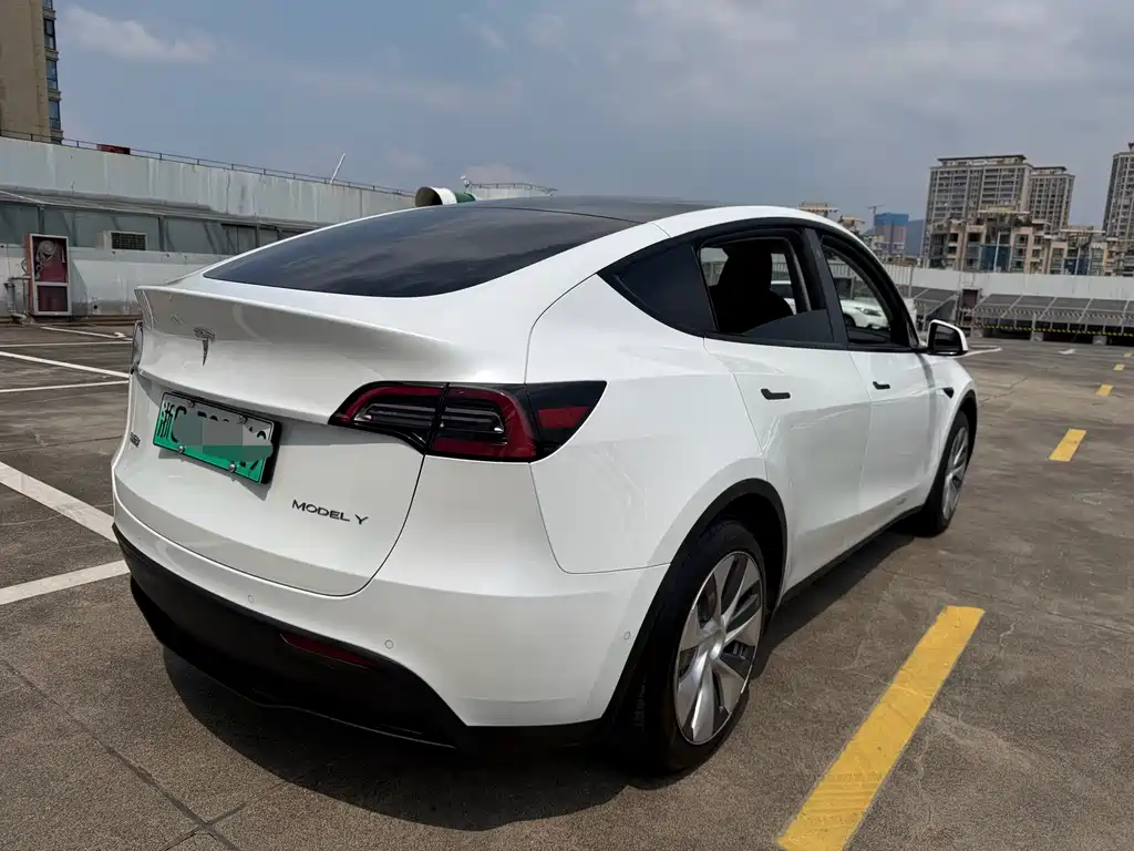 Tesla Model Y — фото 8
