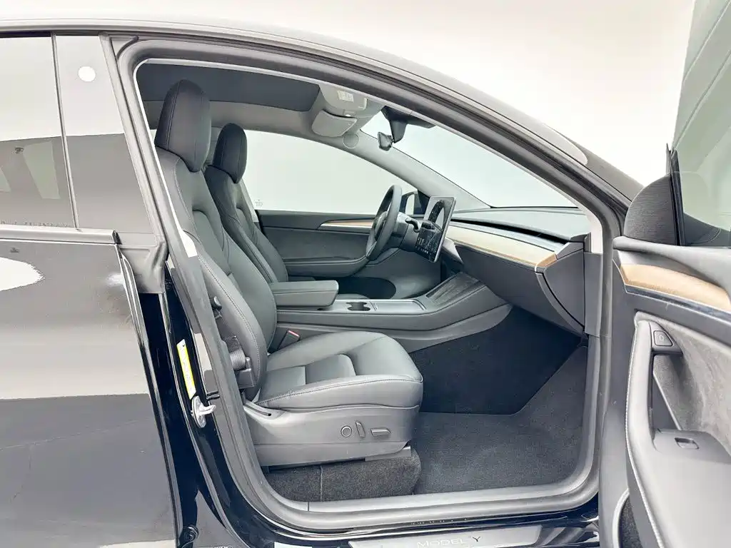 Tesla Model Y — фото 23