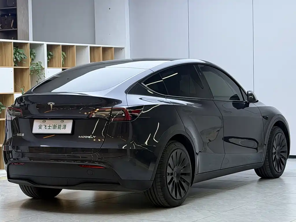 Tesla Model Y — фото 13