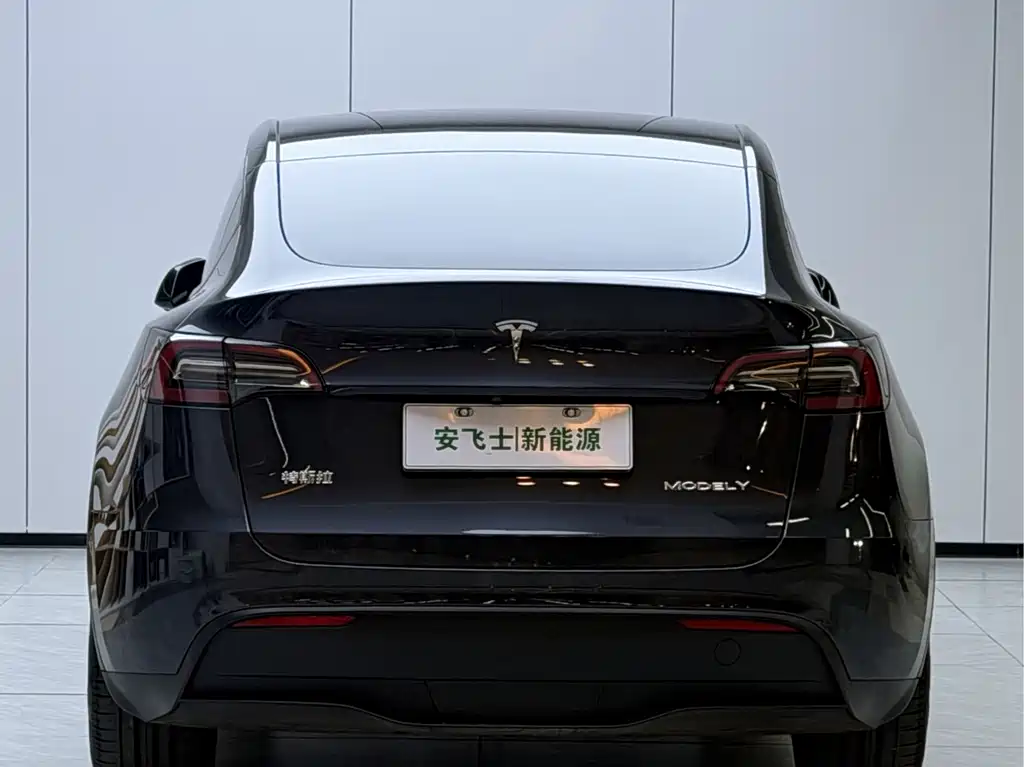 Tesla Model Y — фото 14