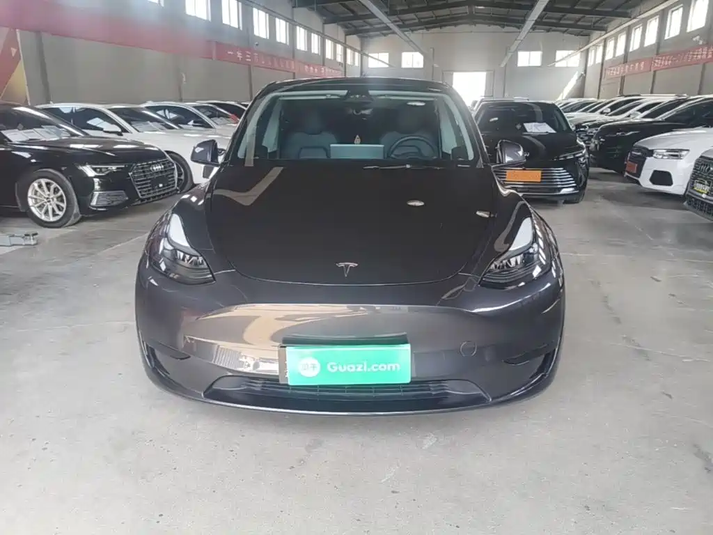 Tesla Model Y — фото 3