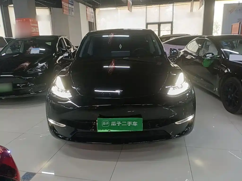 Tesla Model Y — фото 3