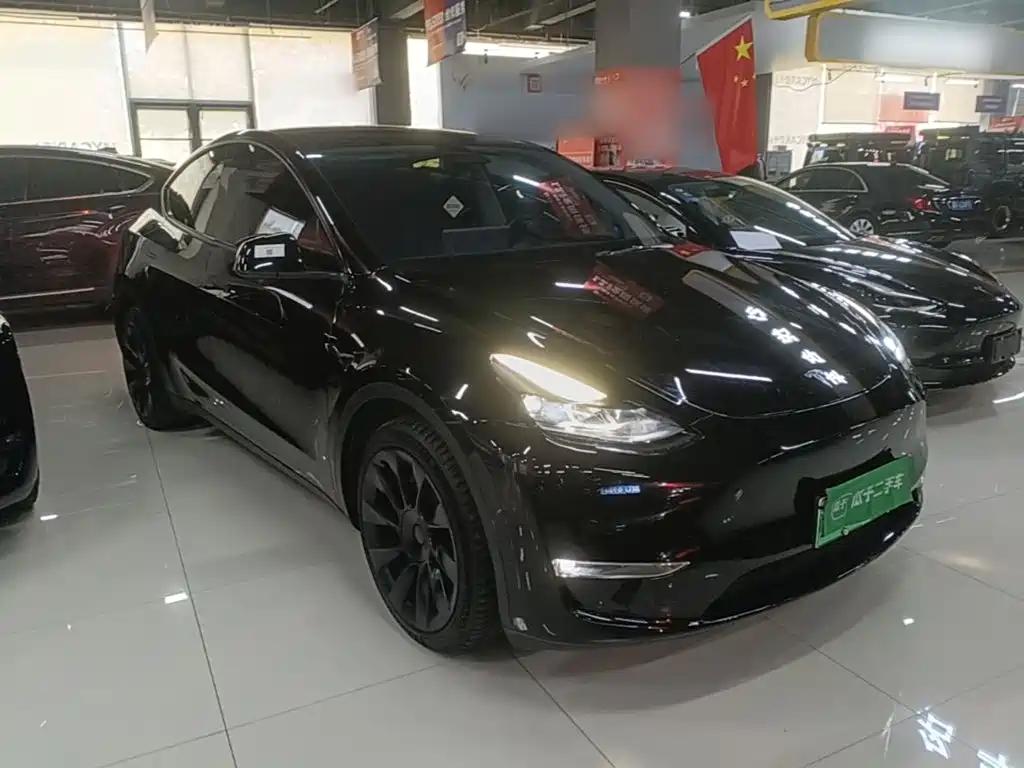 Tesla Model Y — фото 4