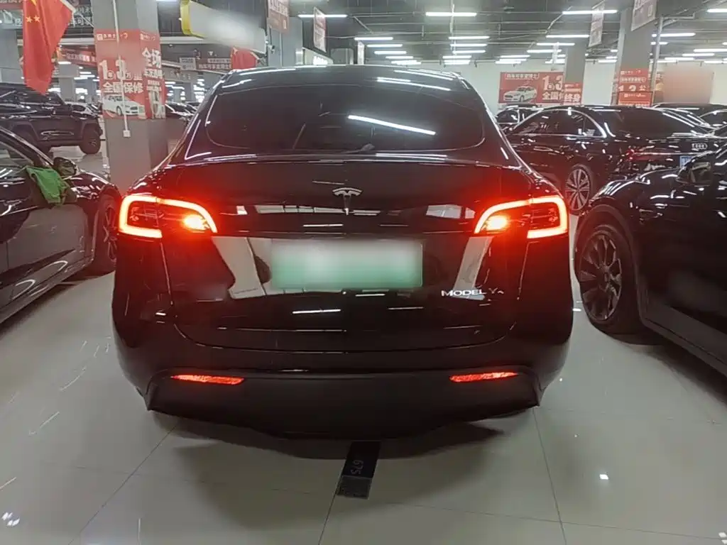Tesla Model Y — фото 6