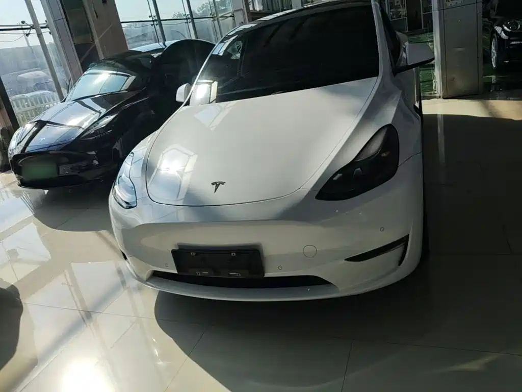 Tesla Model Y — фото 3
