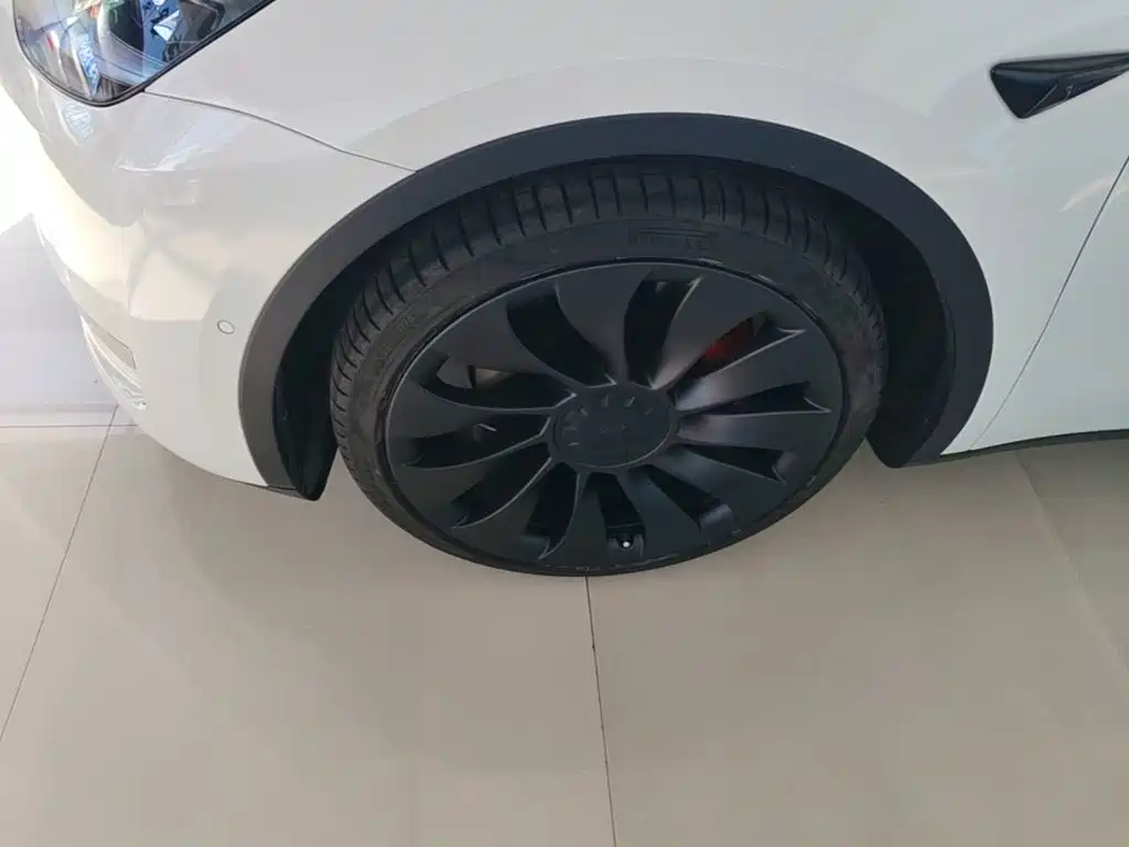 Tesla Model Y — фото 23