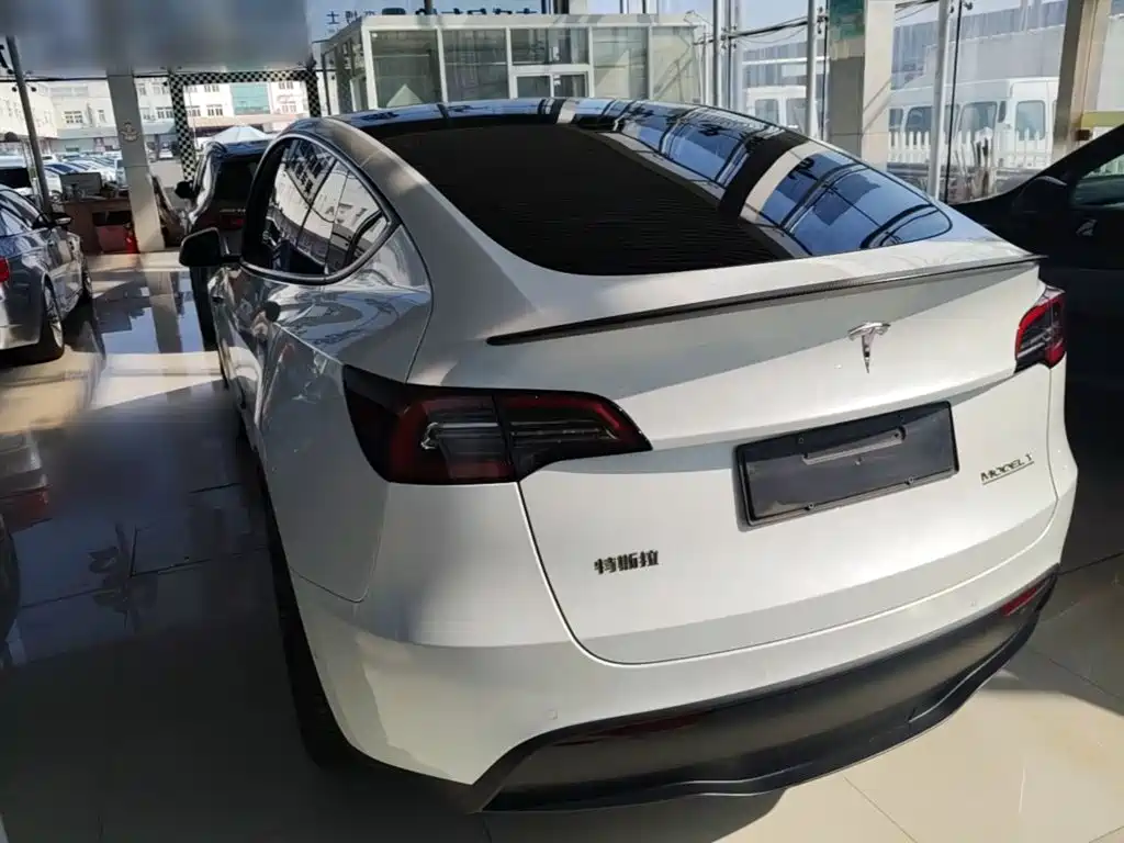 Tesla Model Y — фото 5