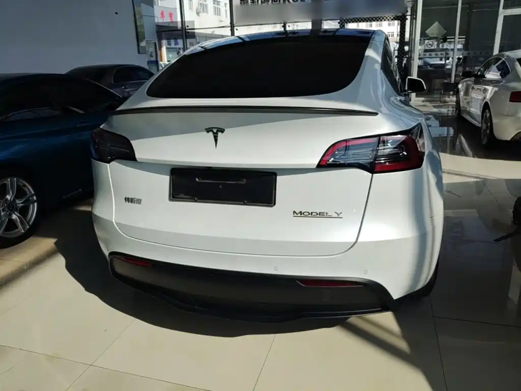 Tesla Model Y — фото 6