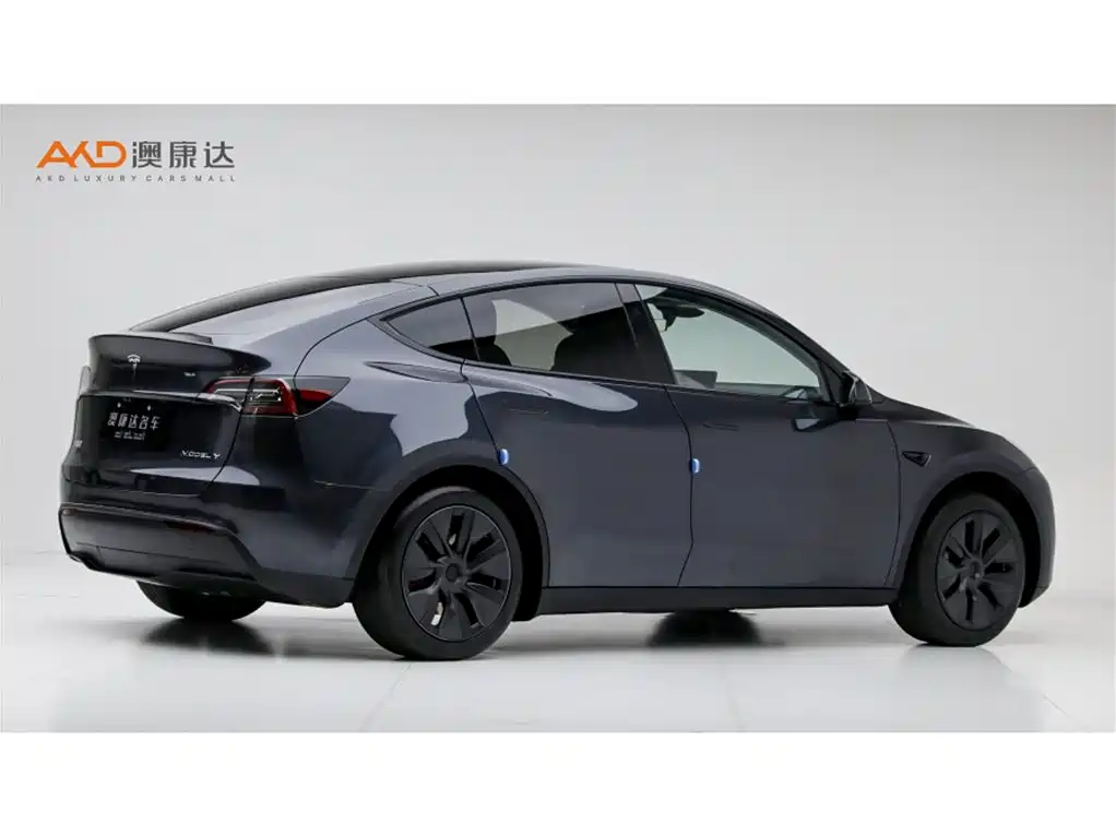 Tesla Model Y — фото 3