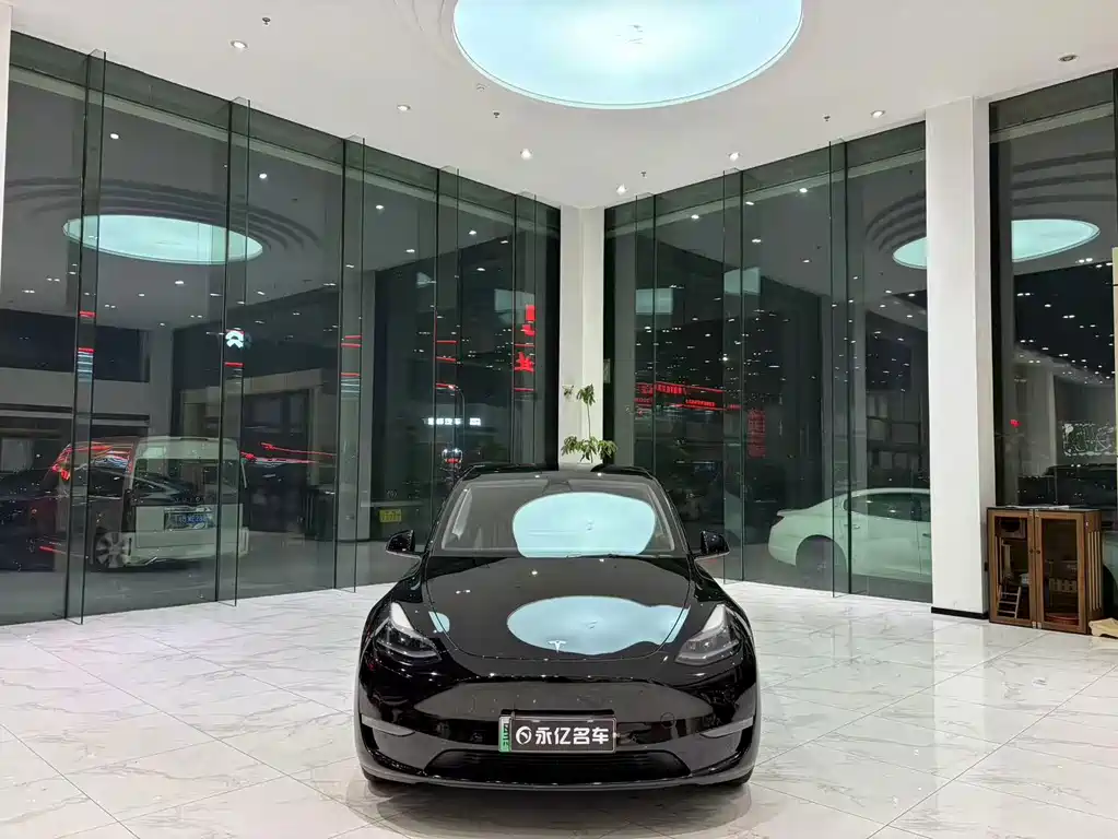 Tesla Model Y — фото 2