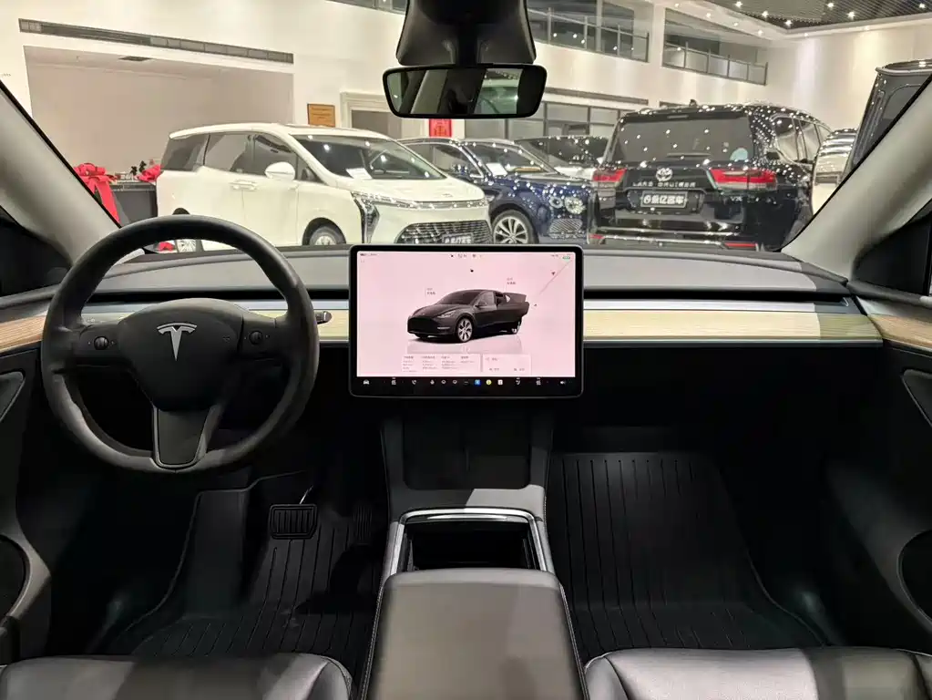 Tesla Model Y — фото 11