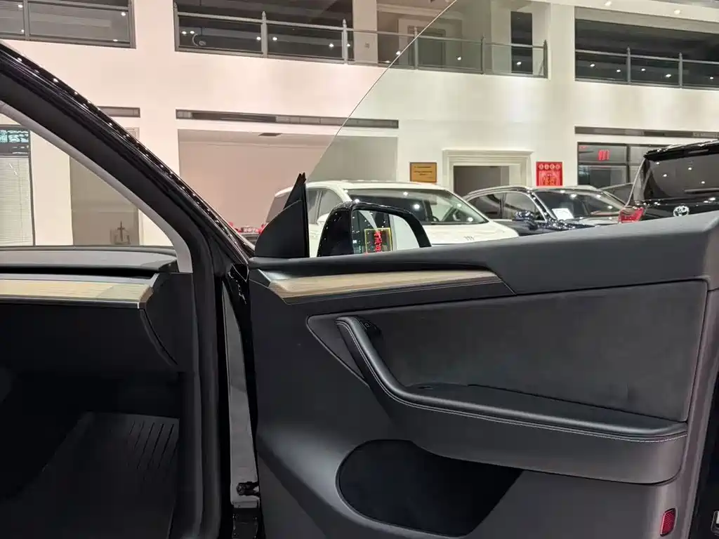 Tesla Model Y — фото 14