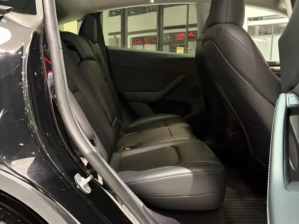 Tesla Model Y — фото 16