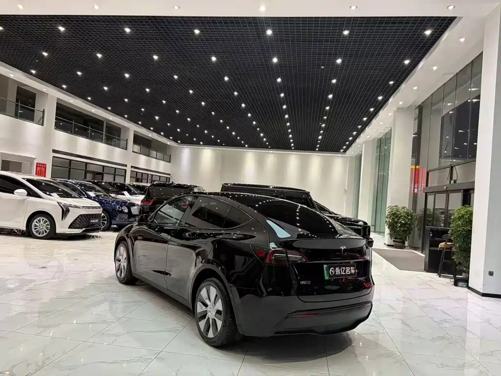 Tesla Model Y — фото 17