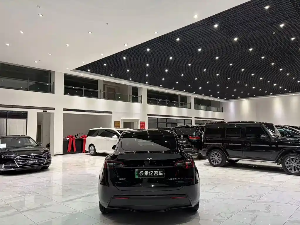 Tesla Model Y — фото 18