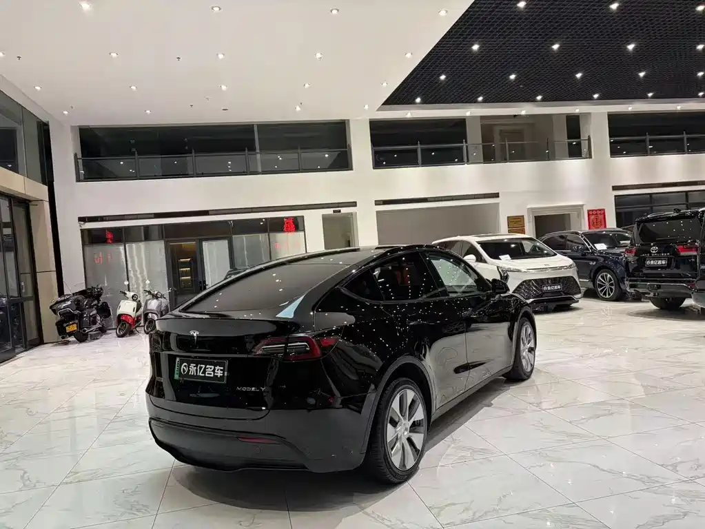 Tesla Model Y — фото 19