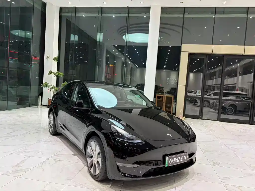 Tesla Model Y — фото 3