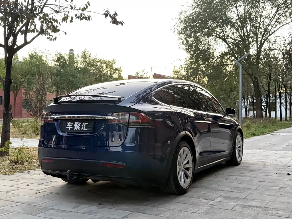 Tesla Model X — фото 4