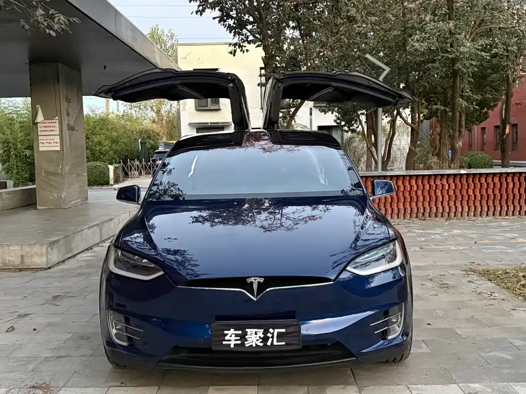 Tesla Model X — фото 5