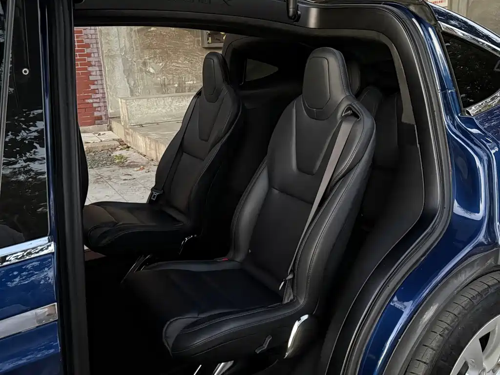Tesla Model X — фото 6