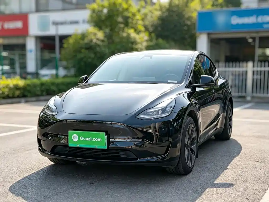 Tesla Model Y — фото 2