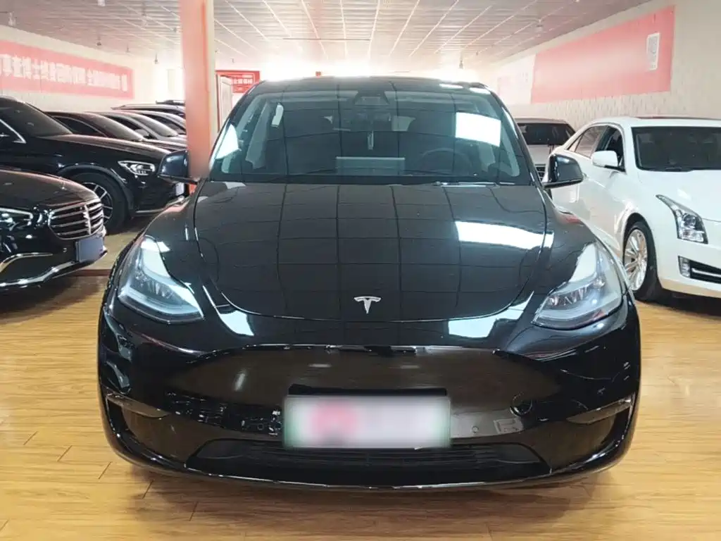 Tesla Model Y — фото 3