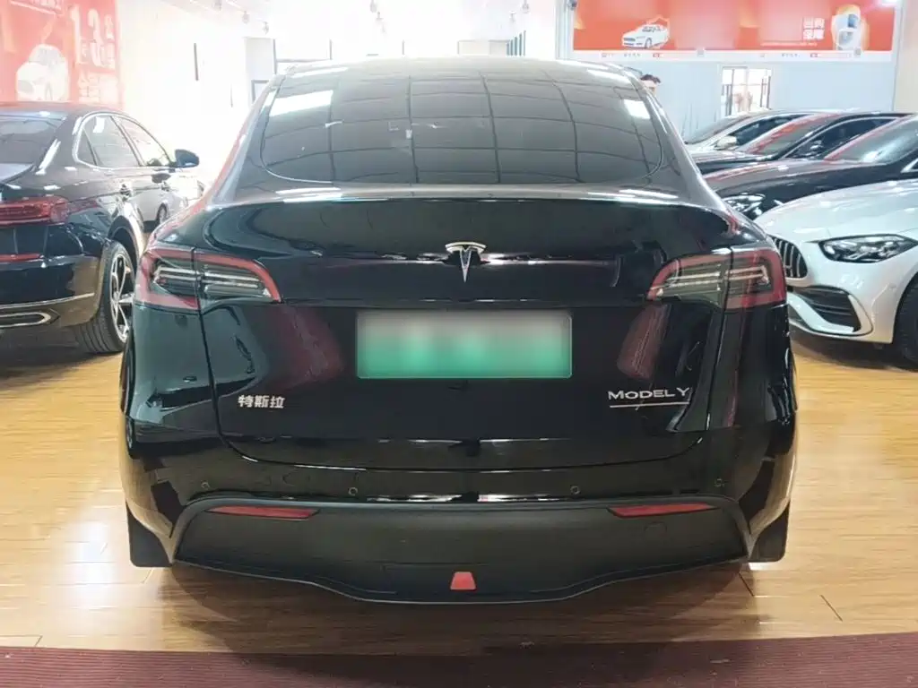 Tesla Model Y — фото 6