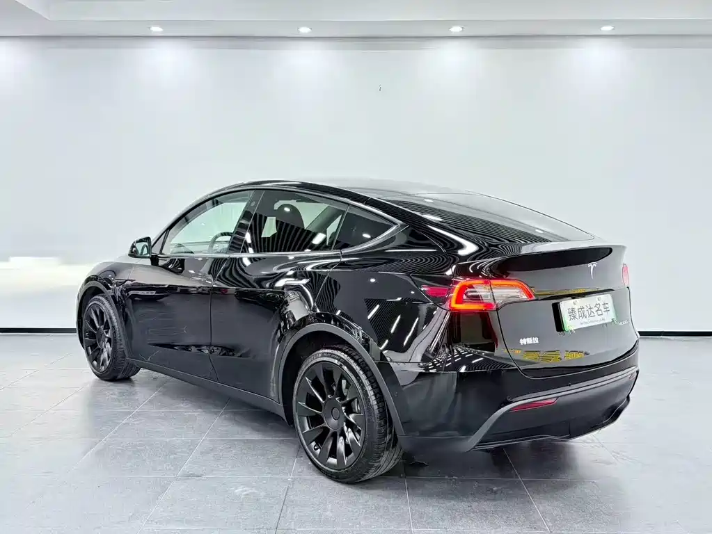 Tesla Model Y — фото 4