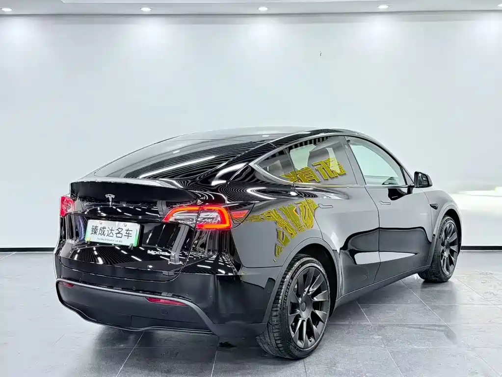 Tesla Model Y — фото 5