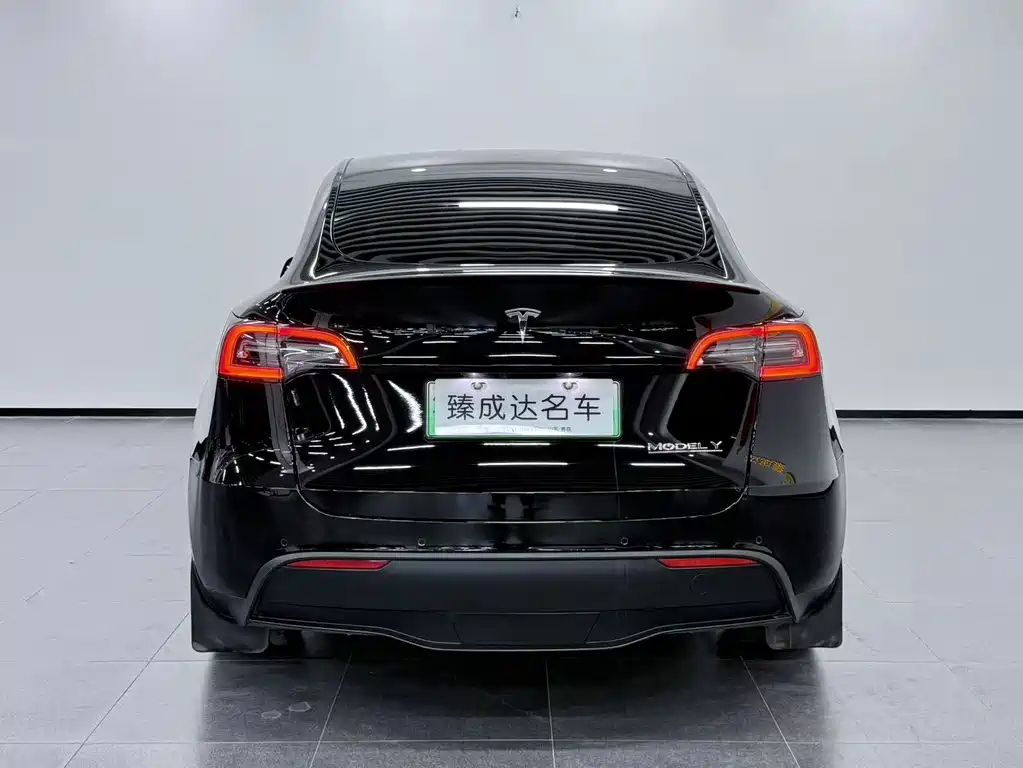 Tesla Model Y — фото 6
