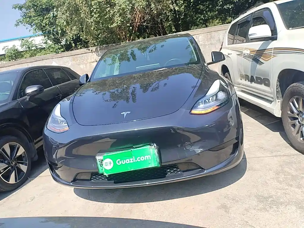 Tesla Model Y — фото 3