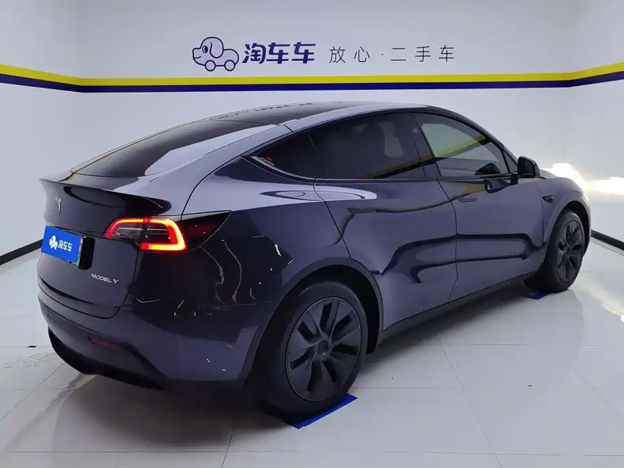 Tesla Model Y — фото 3