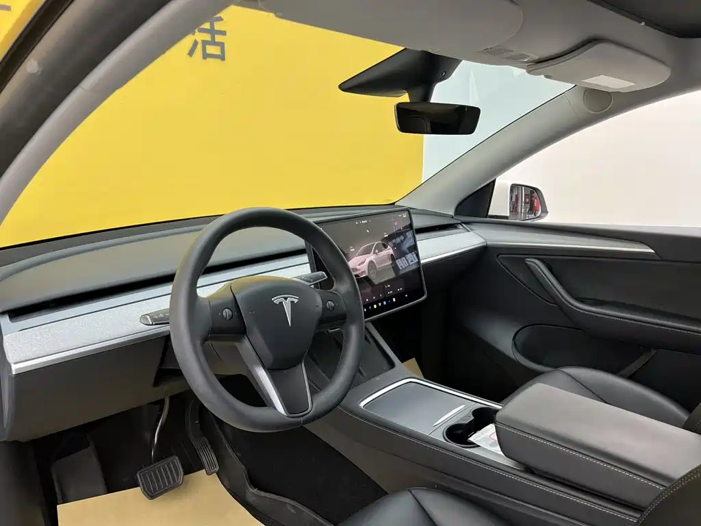 Tesla Model Y — фото 31