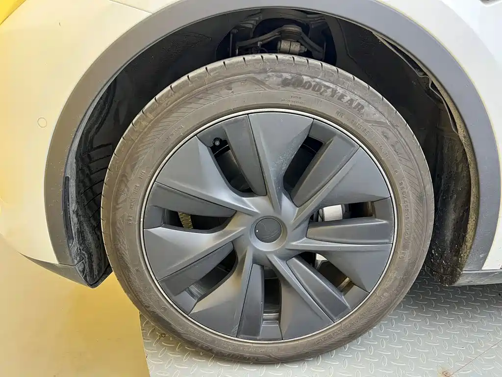 Tesla Model Y — фото 8