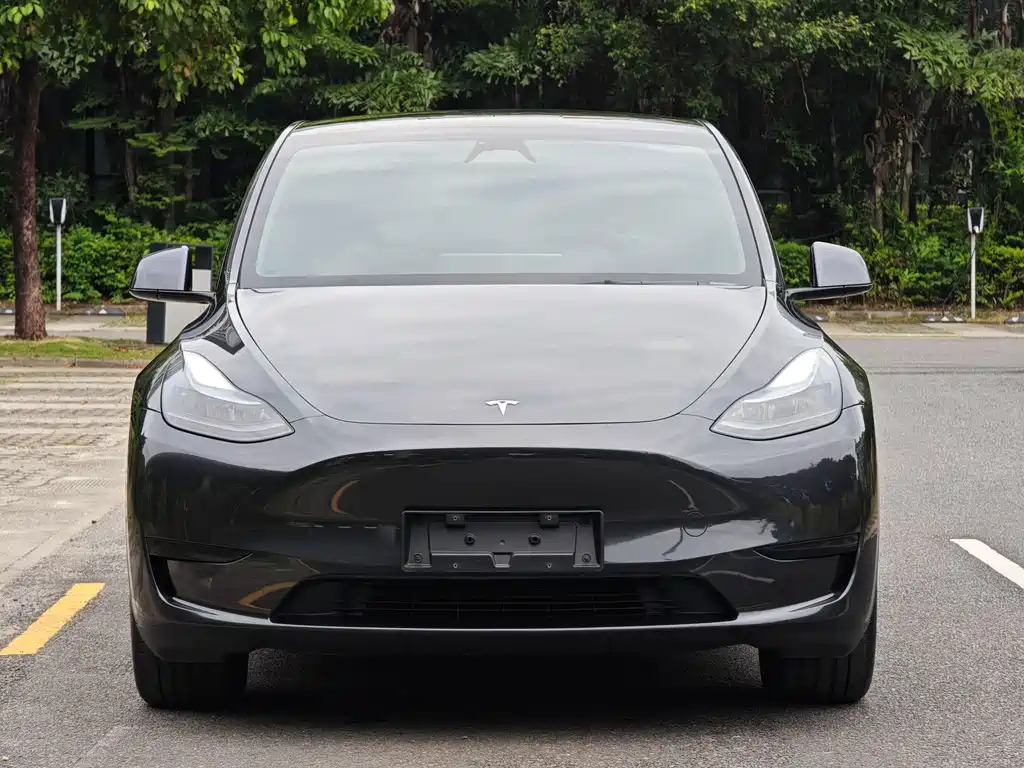 Tesla Model Y — фото 2