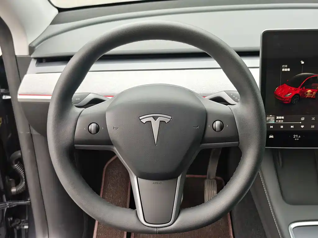 Tesla Model Y — фото 14