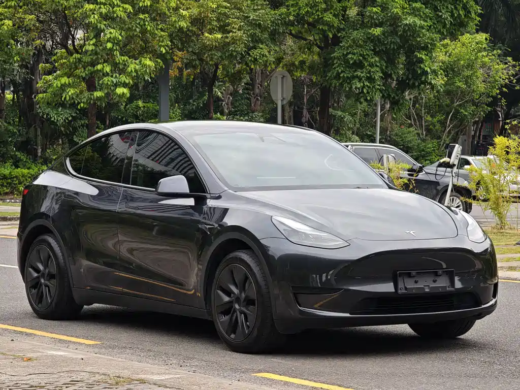 Tesla Model Y — фото 3