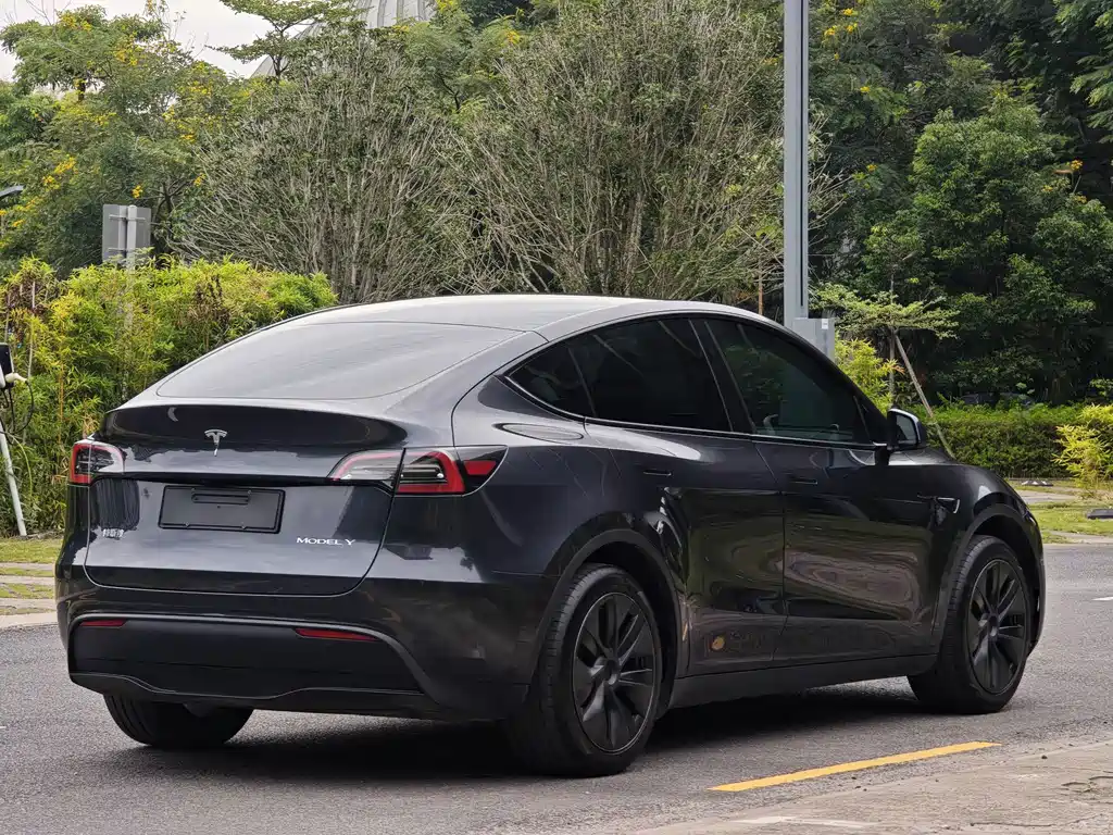 Tesla Model Y — фото 4