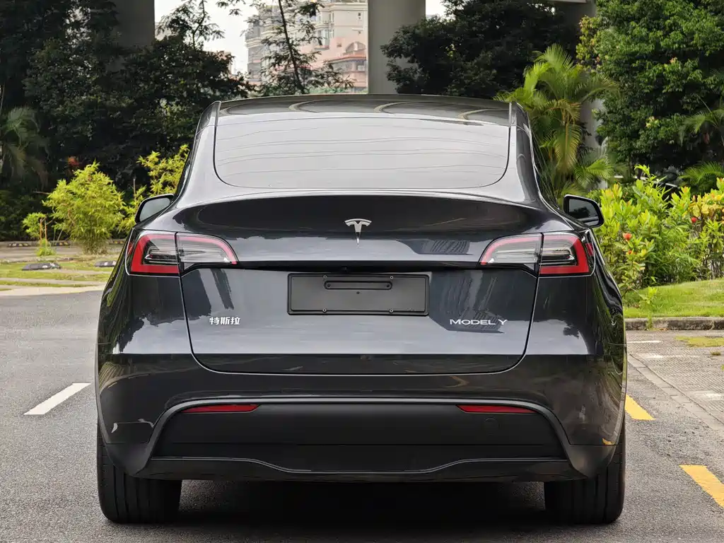 Tesla Model Y — фото 5