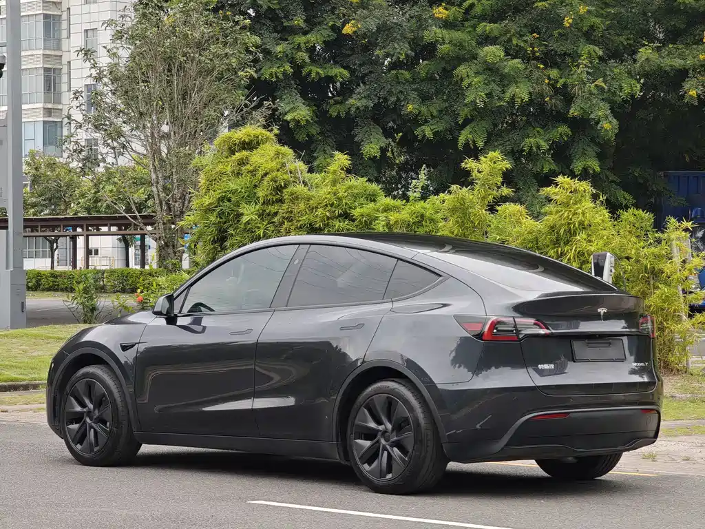 Tesla Model Y — фото 6