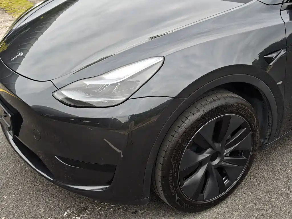 Tesla Model Y — фото 9