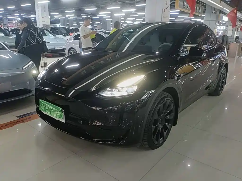 Tesla Model Y — фото 2