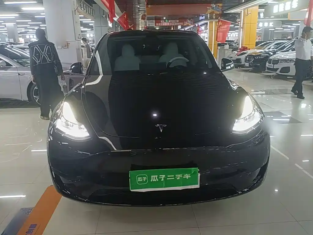 Tesla Model Y — фото 3