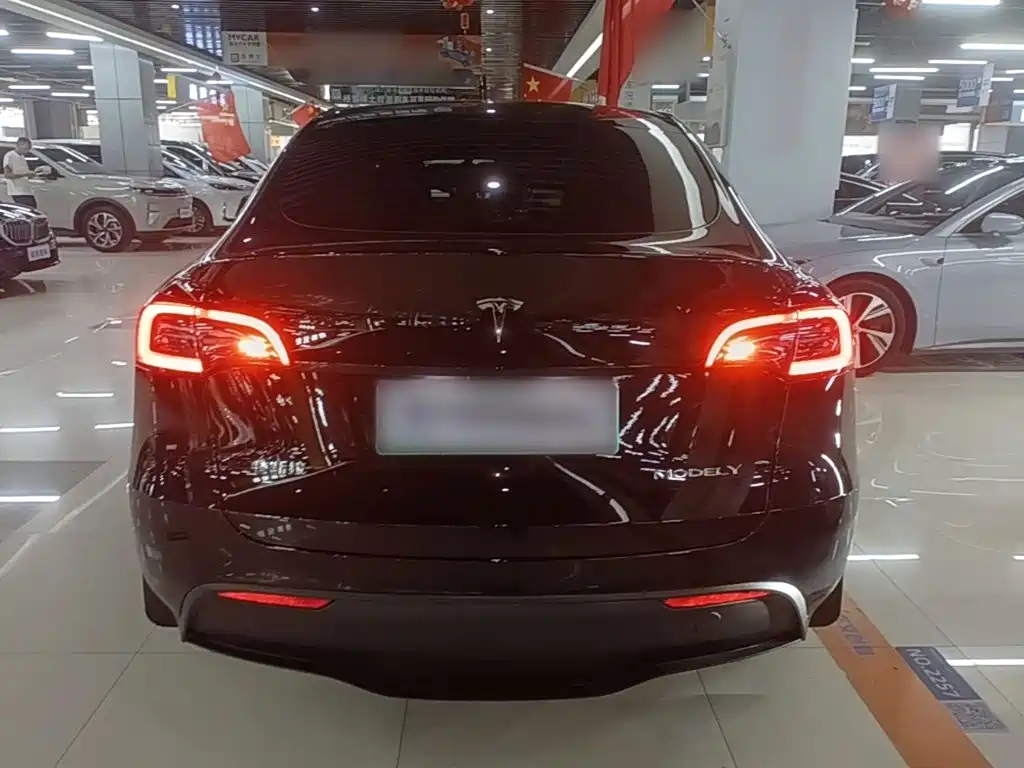 Tesla Model Y — фото 6