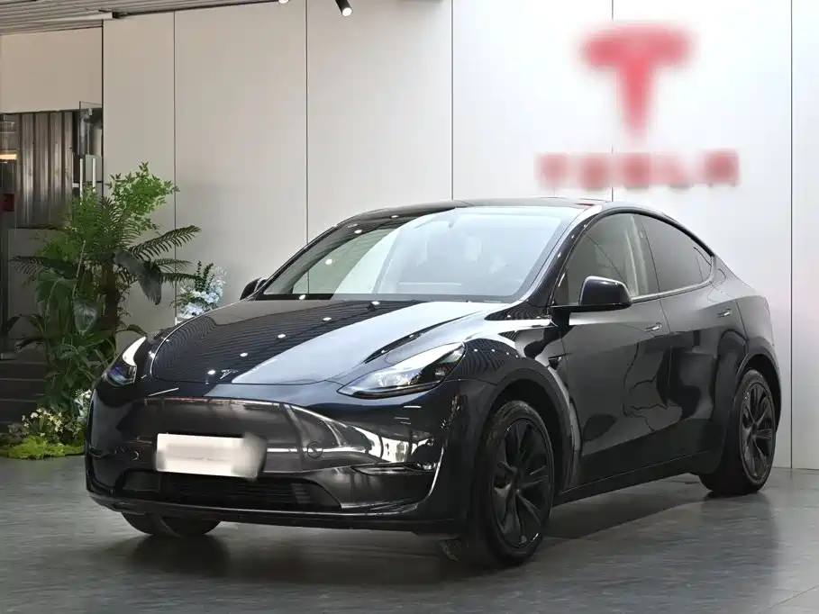 Tesla Model Y — фото 2