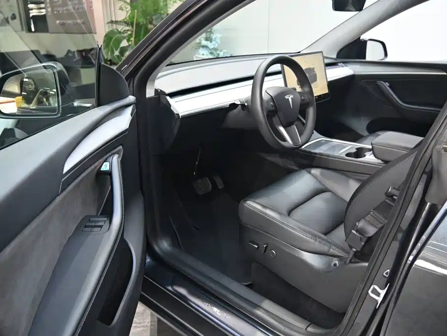 Tesla Model Y — фото 15