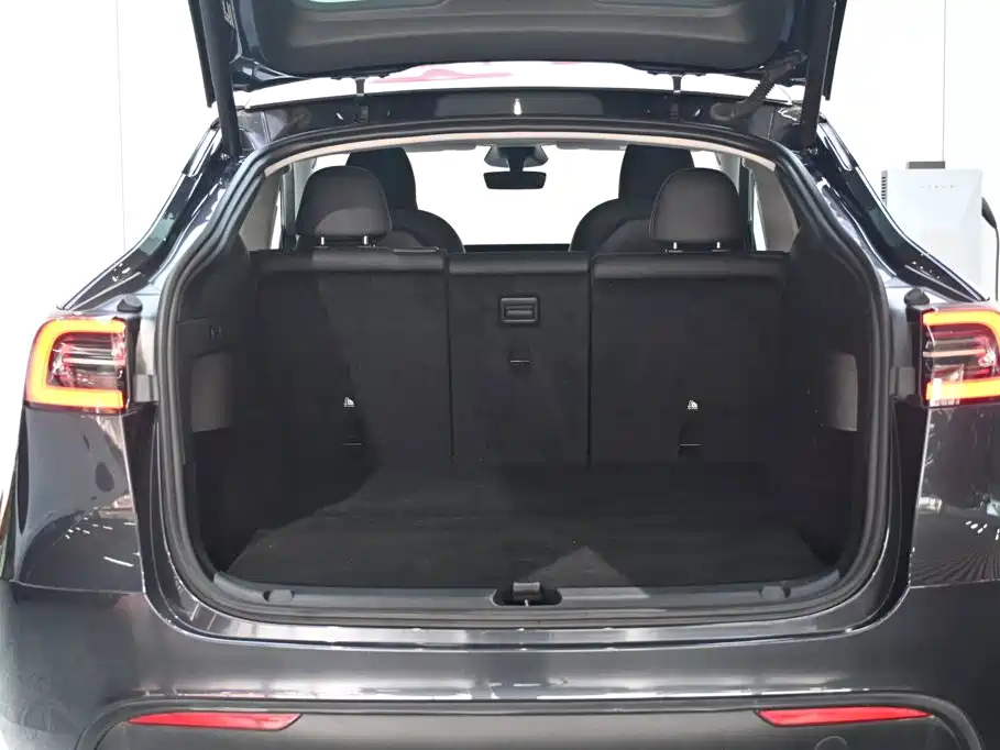 Tesla Model Y — фото 19