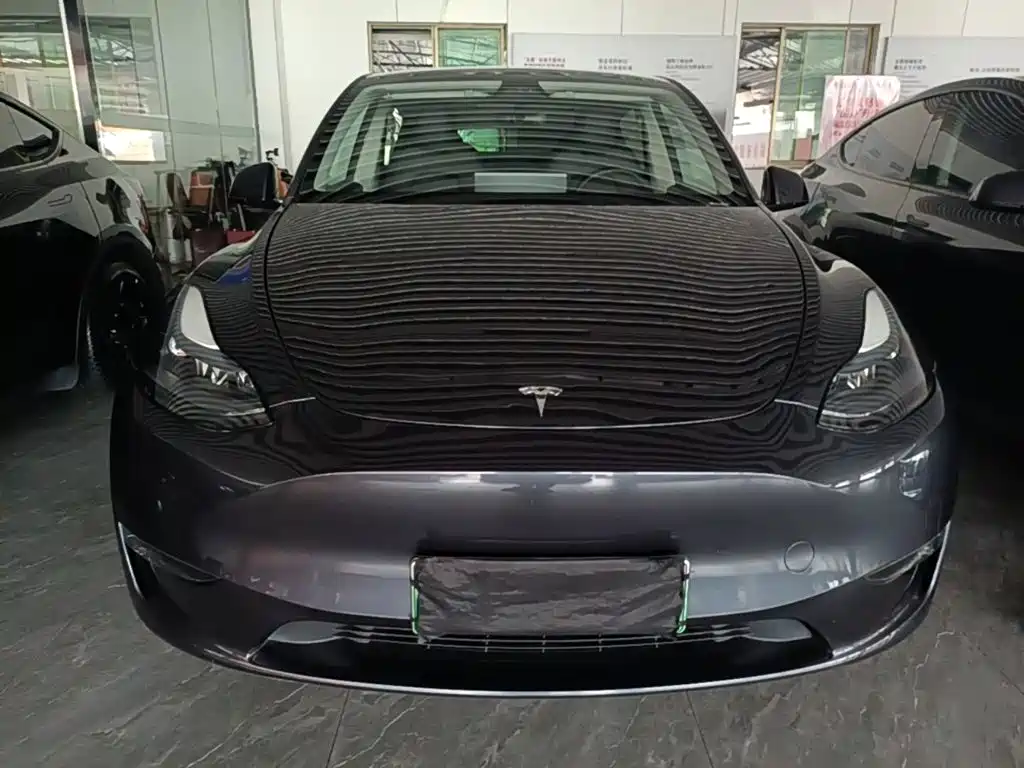 Tesla Model Y — фото 3