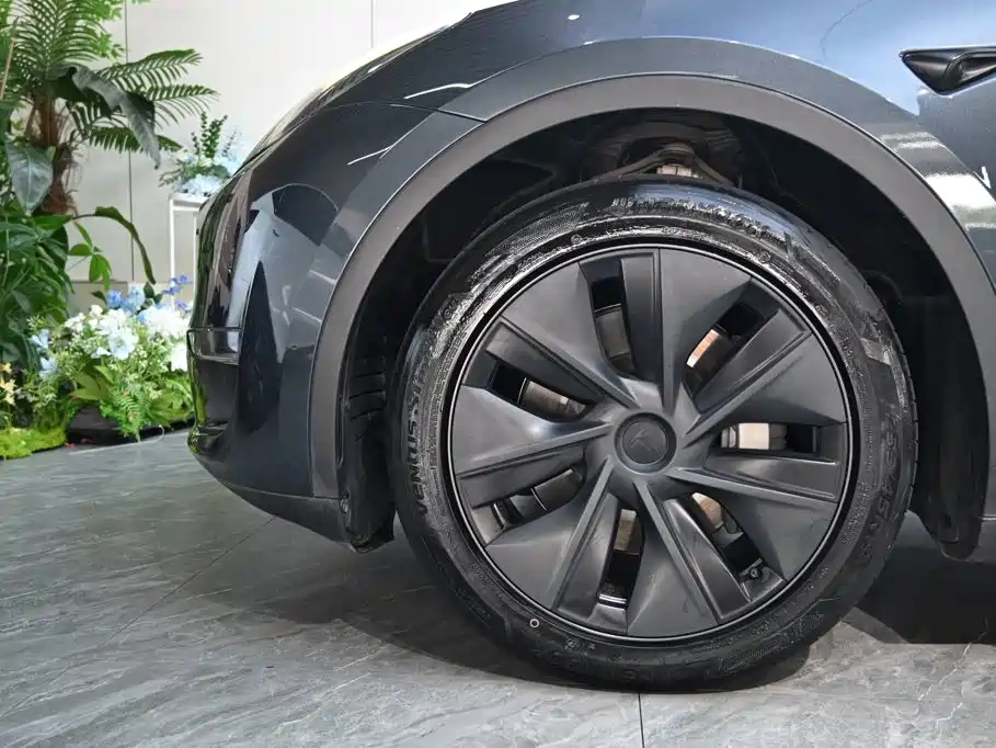 Tesla Model Y — фото 23
